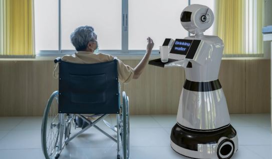 Service Robots in Customer Service Industries