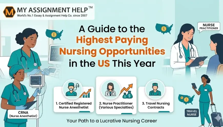 State-by-State: A Guide to the Highest Paying Nursing Opportunities in the UK This Year